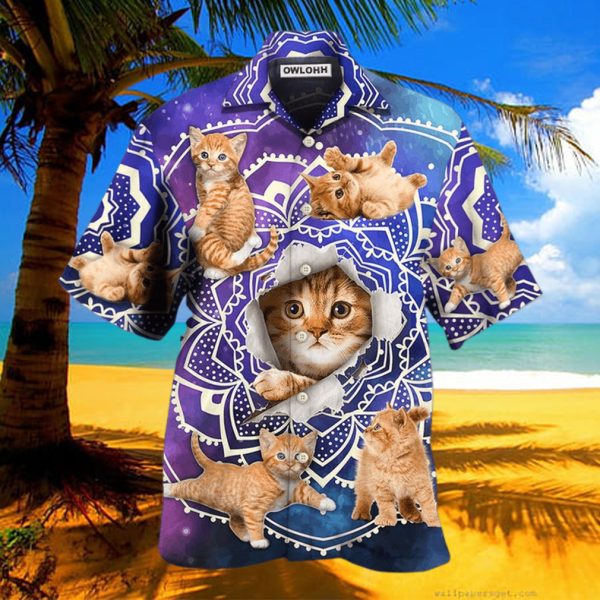 Cat Tabby Cat Yoga Galaxy Yoga Pose Funny Hawaiian Shirt