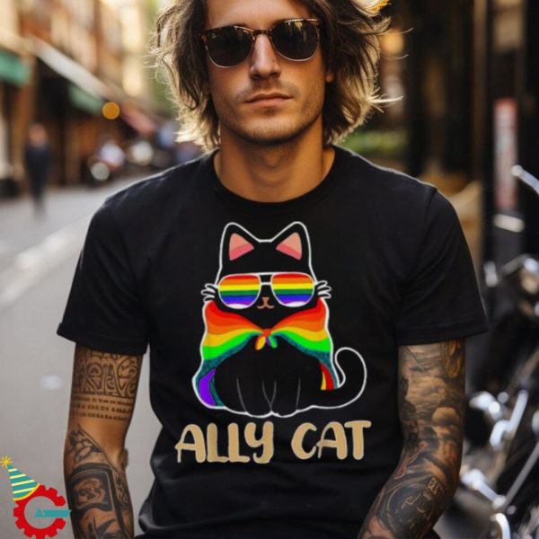 Ally Cat Shirt, LGBT Ally Cat Be Kind Gay Rainbow Funny LGBTQ Gift Idea T Shirt Lgbt Pride Shirt