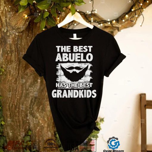 Mens Fathers Day Tee For Papa   Best Abuelo Has Best Grandkids T Shirt