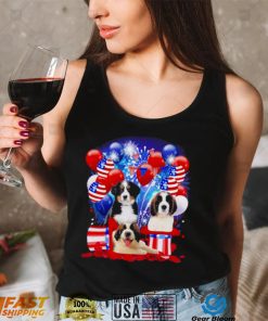 St Bernard Balloons Fireworks Shirt