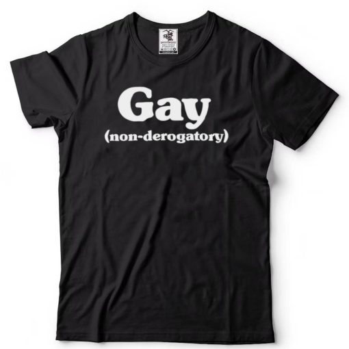 Gay Non Derogatory Women T Shirt