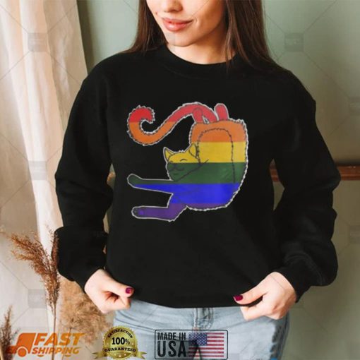 LGBT Cat pride happy pride month shirts