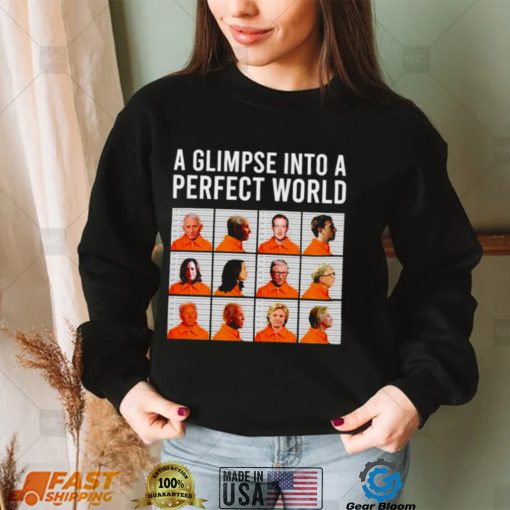 A glimpse into a perfect world shirt