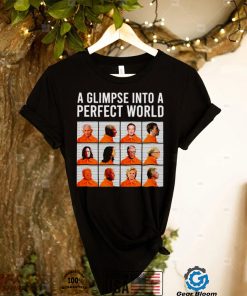 A glimpse into a perfect world shirt