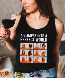 A glimpse into a perfect world shirt