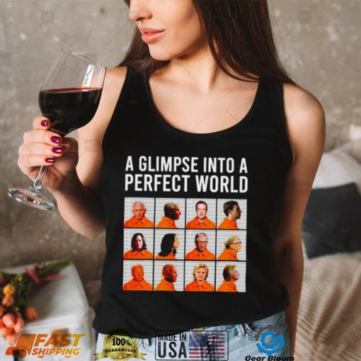 A glimpse into a perfect world shirt