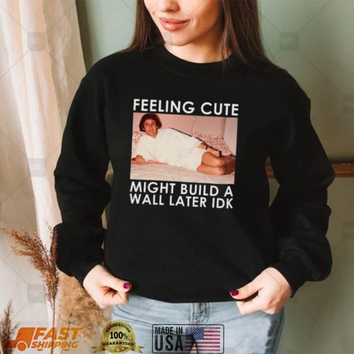 Feeling Cute Might Build a Wall Later Idk Shirt, Hoodie