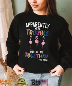 Flamingos Apparently We’re Trouble When We Are Together Who Knew Shirt, Hoodie