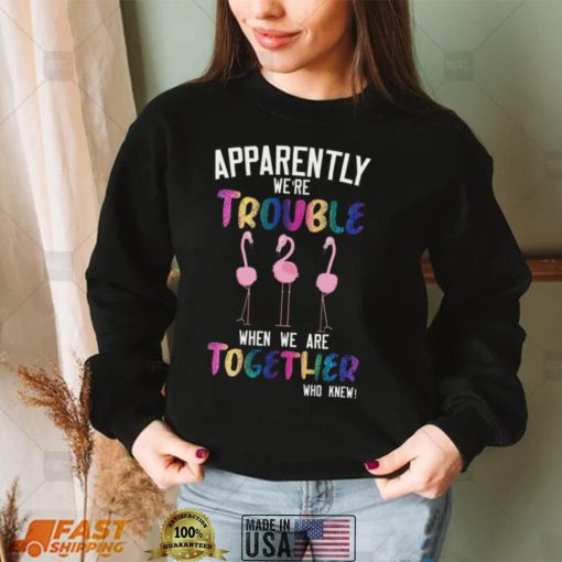 Flamingos Apparently We’re Trouble When We Are Together Who Knew Shirt, Hoodie