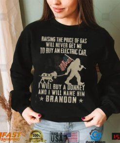 I Will Buy A Donkey And I Will Name Him Brandon T Shirt