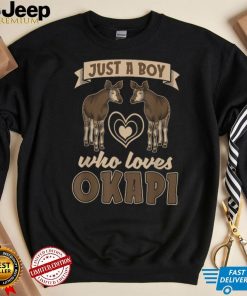 Africa Zoo Animal Lover Boys Just A Boy Who Loves Okapi T Shirt