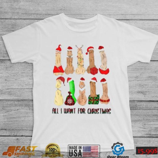 All I Want For Christmas Dirty Santa Funny T Shirt