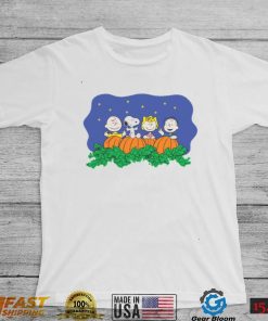 Charlie Brown Halloween Shirt Meet Charlie Brown Friends With Great Pumpkin Village At Arboretum