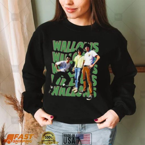 Wallows Pop Band Rock Gift For Fans Shirt