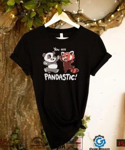 You Are Pandastic Hooded Sweatshirt