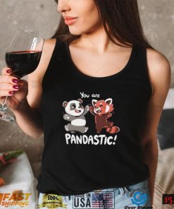 You Are Pandastic Hooded Sweatshirt