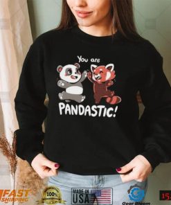 You Are Pandastic Hooded Sweatshirt