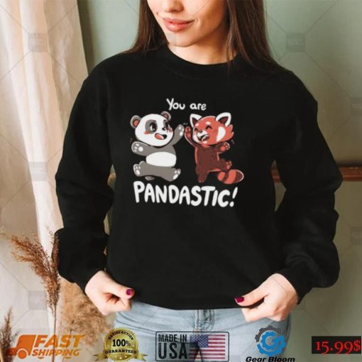 You Are Pandastic Hooded Sweatshirt