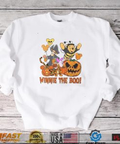 Vintage Winnie The Booh Shirt, Disneyland Halloween Tee, Pumpkin Shirt