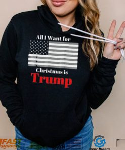 All I Want For Christmas Is Trump American Flag T Shirt