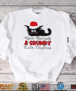 Have Yourself A Grumpy Litter Christmas Funny Christmas Cat Shirt