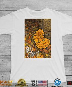 Billy strings nov 9 2022 blue cross arena rochester ny shirt