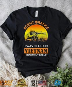 Agent Range I Was Killed In VietNam I Just Haven’t Died Yet T shirt