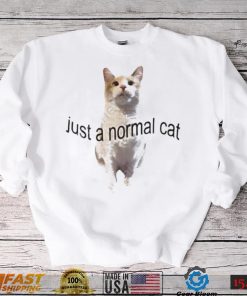 Just a normal cat s panko a cat’s mom shirt