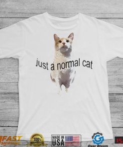 Just a normal cat s panko a cat’s mom shirt