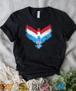 Team USA flag Eagle logo retro shirt