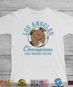 UCLA Bruins Los Angeles Champions 2022 Women’s Soccer Shirt