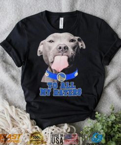 vvSsGplg Pitbull Golden State Warriors To All My Haters Shirt1 hoodie, sweater, longsleeve, v-neck t-shirt