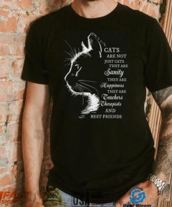 Cat Are Not Just Cats They Are Best Friends shirt