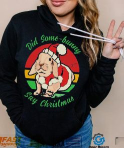 Bunny Santa Did Some Bunny Say Christmas T shirt