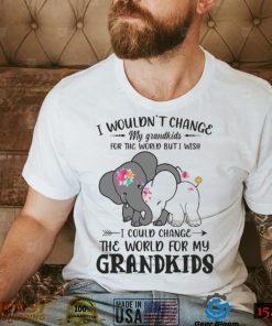I Wouldn’t Change My Grandkids For The World Buti Wish Shirt