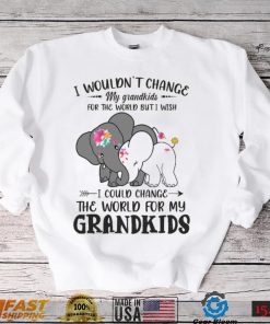I Wouldn't Change My Grandkids For The World Buti Wish Shirt