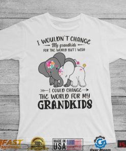 I Wouldn't Change My Grandkids For The World Buti Wish Shirt