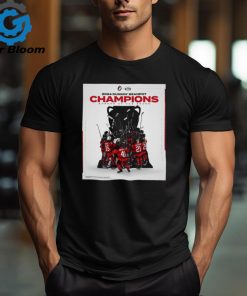 Northeastern Huskies 2024 Dunkin’ Beanpot Champions Queens Of The Beans shirt