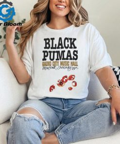 Black Pumas Merch I Love Ny Shirts