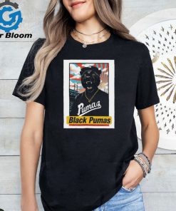 Official black Pumas At Avondale Brewing Company In Birmingham, AL On May 11, 2024 Poster Shirt