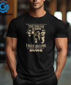 The Child Is Grown The Dream Is Gone I Have Become Comfortably Numb ACDC T Shirt