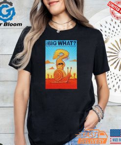 Official The Big What Festival Aug 22 2024 Shakori Hills In Pittsboro NC Poster Shirt