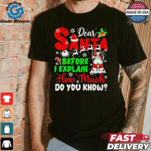 Dear Santa Before I Explain How Much Do You Know Xmas Shirt