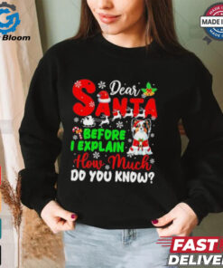 Dear Santa Before I Explain How Much Do You Know Xmas Shirt