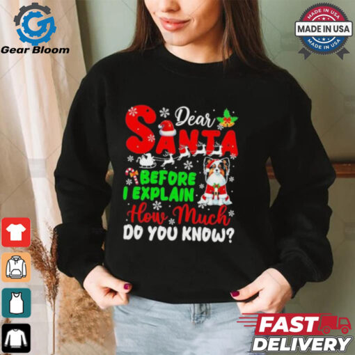 Dear Santa Before I Explain How Much Do You Know Xmas Shirt