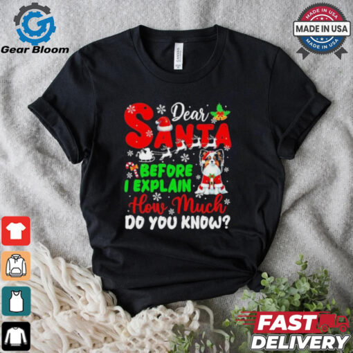 Dear Santa Before I Explain How Much Do You Know Xmas Shirt