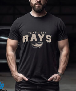 Tampa Bay Rays Levelwear Zane Team Arch shirt