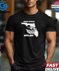 Pate State Material Florida Relief Painting t shirt