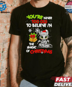 Toothless You’re never too olf to believe in the magic of Christmas shirt