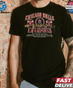 Vintage Chicago Bulls T shirt NBA 1992 World Champ Tee